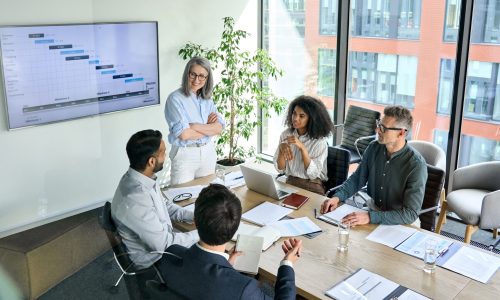 Senior,Female,Ceo,And,Multicultural,Business,People,Discussing,Company,Presentation